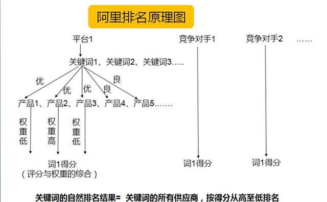 阿里国际站优化攻略之排名规则篇