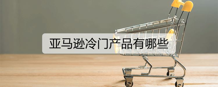 亚马逊冷门产品有哪些