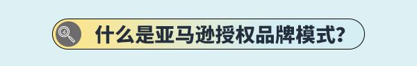 卖家居然可以直接使用亚马逊品牌？那何须再担心流量和销量！