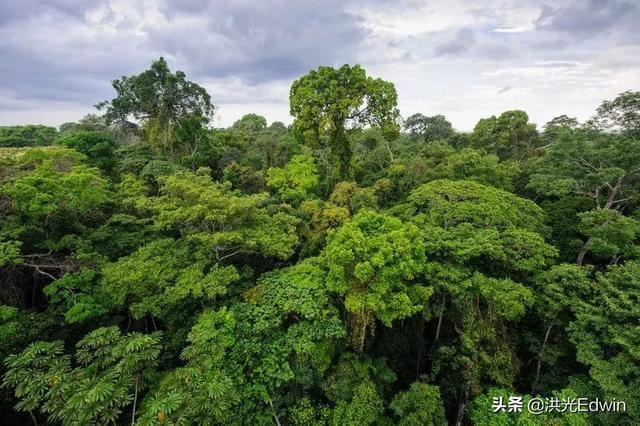 都说亚马逊雨林是人类禁区，有比亚马逊雨林更恐怖的地方吗？