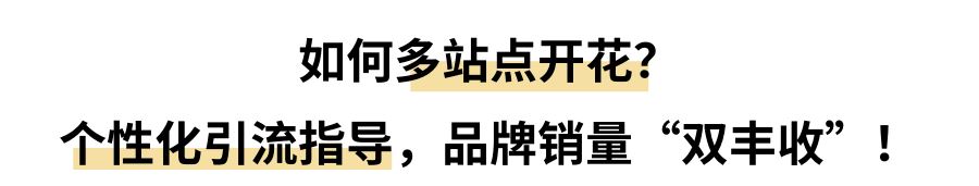 小卖变大卖，是什么刺激流量销量涨涨涨？！可复制的亚马逊成功模式来了！