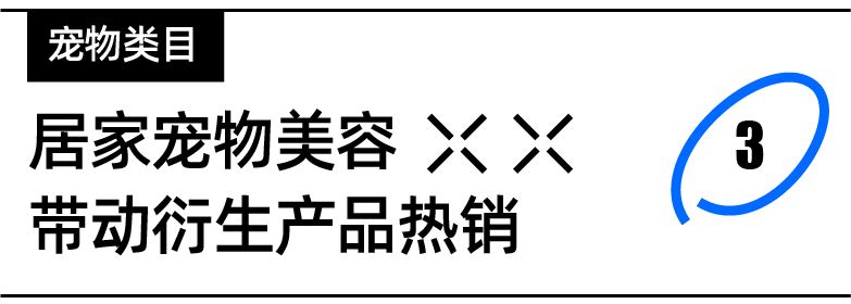 快消品情报局｜9.9大促你准备好了吗？东南亚居民都在抢购这些爆品