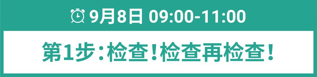 9.9冲刺! 卖家24小时作战细则, 5大东南亚消费画像助攻, 附10.10选品