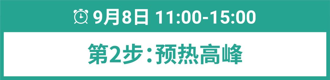 9.9冲刺! 卖家24小时作战细则, 5大东南亚消费画像助攻, 附10.10选品