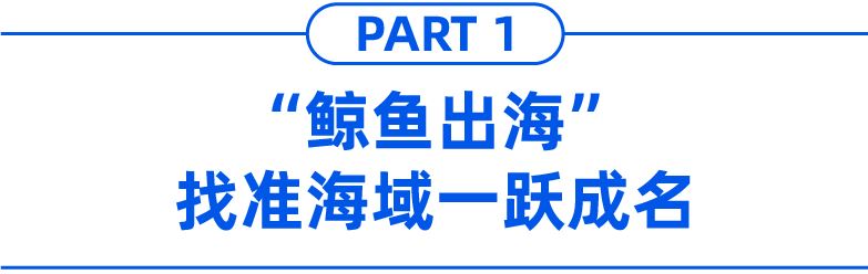 95后团队入驻3个月成平台类目TOP 1，大件商品也能畅销东南亚