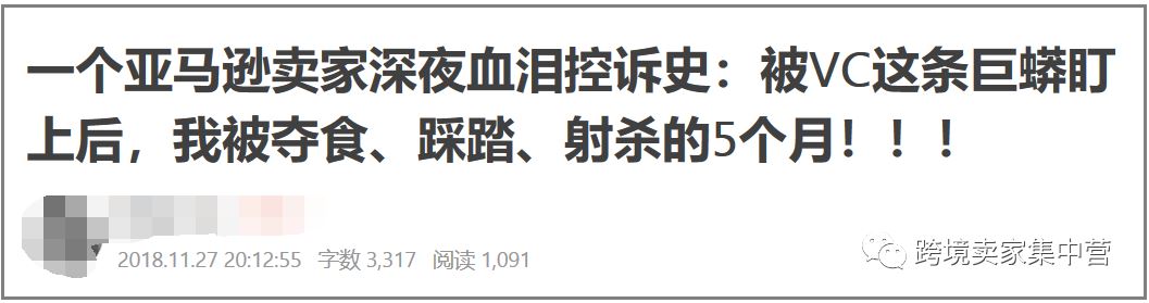 作为一名亚马逊卖家，容易受到哪些伤害？