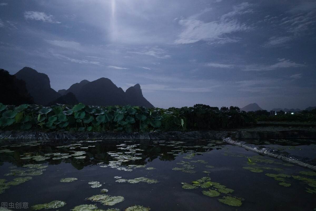 虾皮跨境电商前景 虾皮跨境电商的运作模式