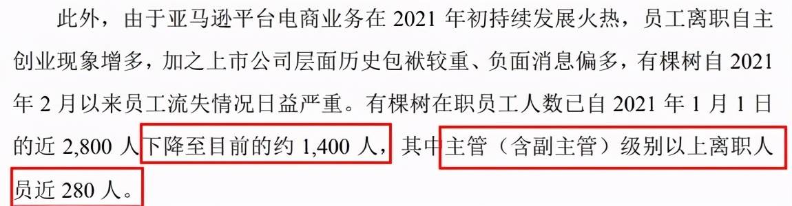 亚马逊封店的原因_亚马逊关联封店后资金不给