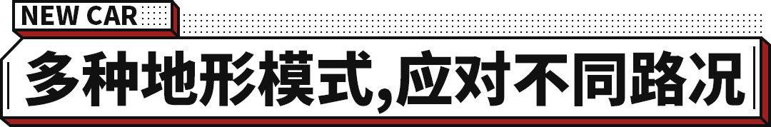 上汽大通t90牛魔王_上汽大通D90亚马逊